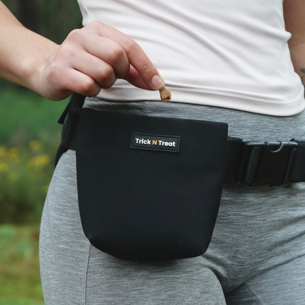 TNT Belt & Pouch