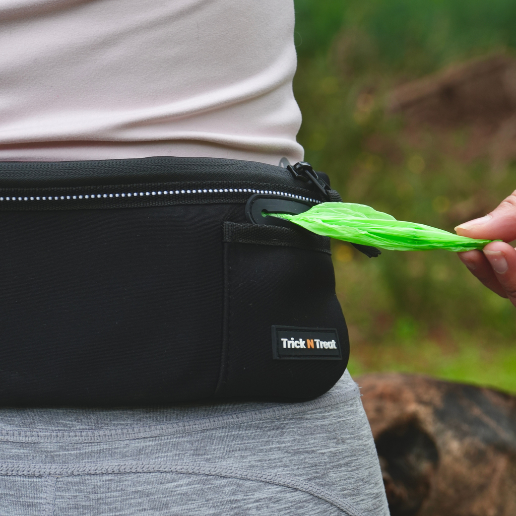 TNT Belt & Pouch